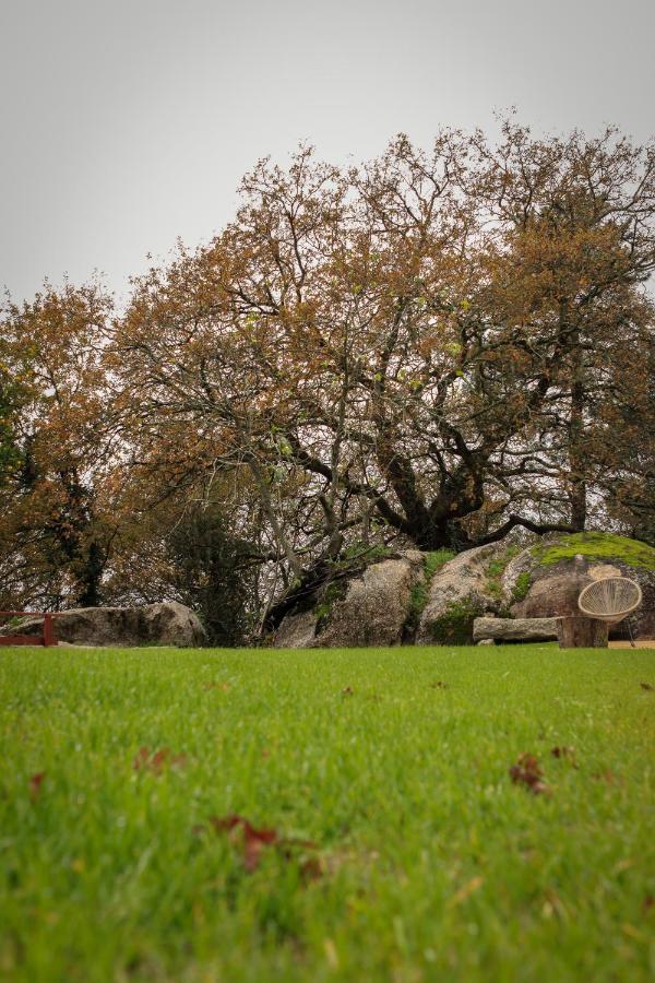 Quinta Pousada De Fora Wines & Tourism Guimarães Exterior foto