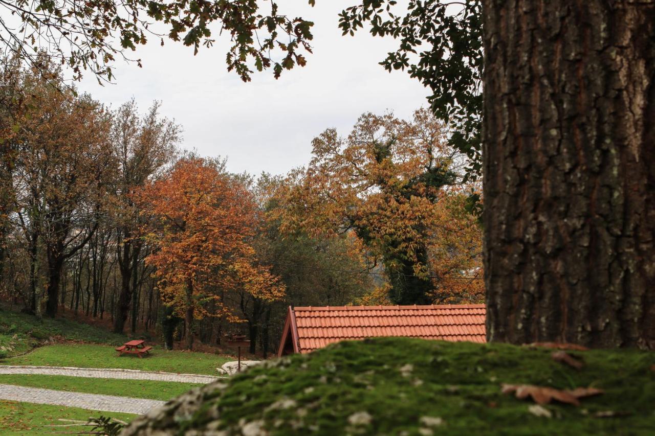 Quinta Pousada De Fora Wines & Tourism Guimarães Exterior foto
