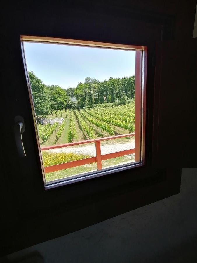 Quinta Pousada De Fora Wines & Tourism Guimarães Exterior foto